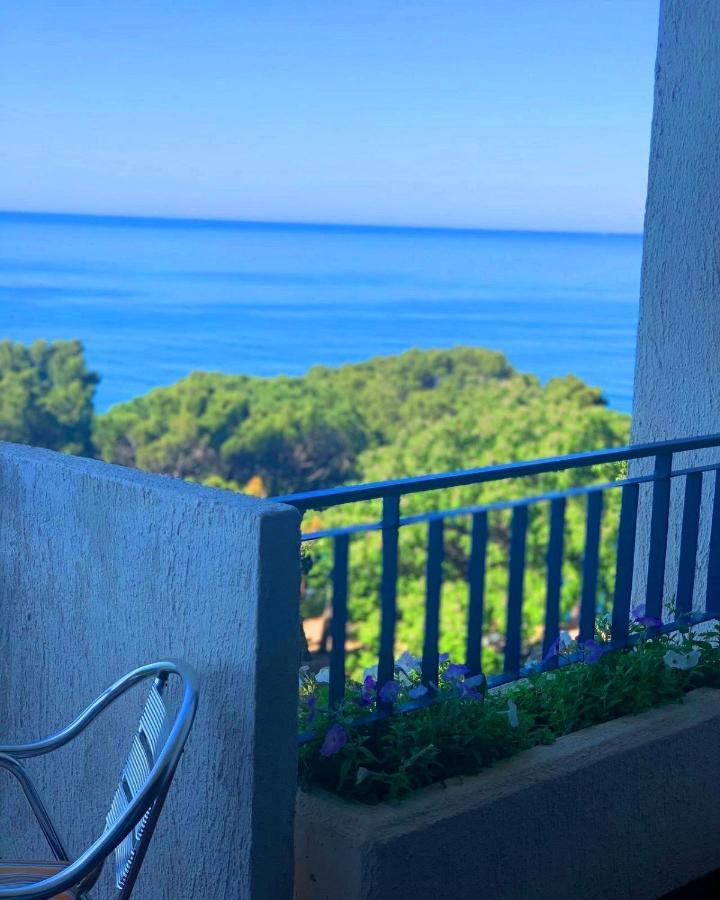 Corpus B - Hotel Albatros Ulcinj Habitación foto